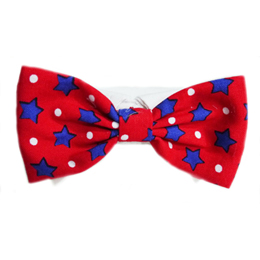 Charlie Bow Tie