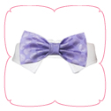 Dylan Bow Tie
