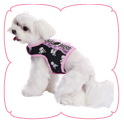 Girls Skull Harness Top