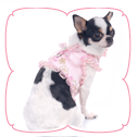 Sakura Harness Top
