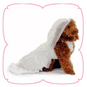 Venus Wedding Dress